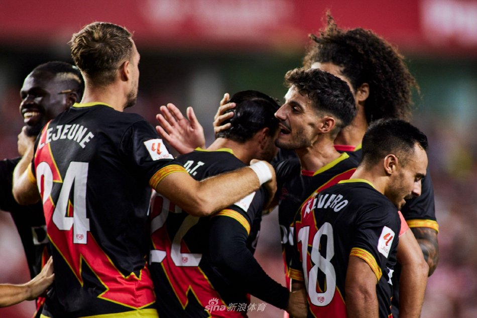 埃里克森的 埃里克森的