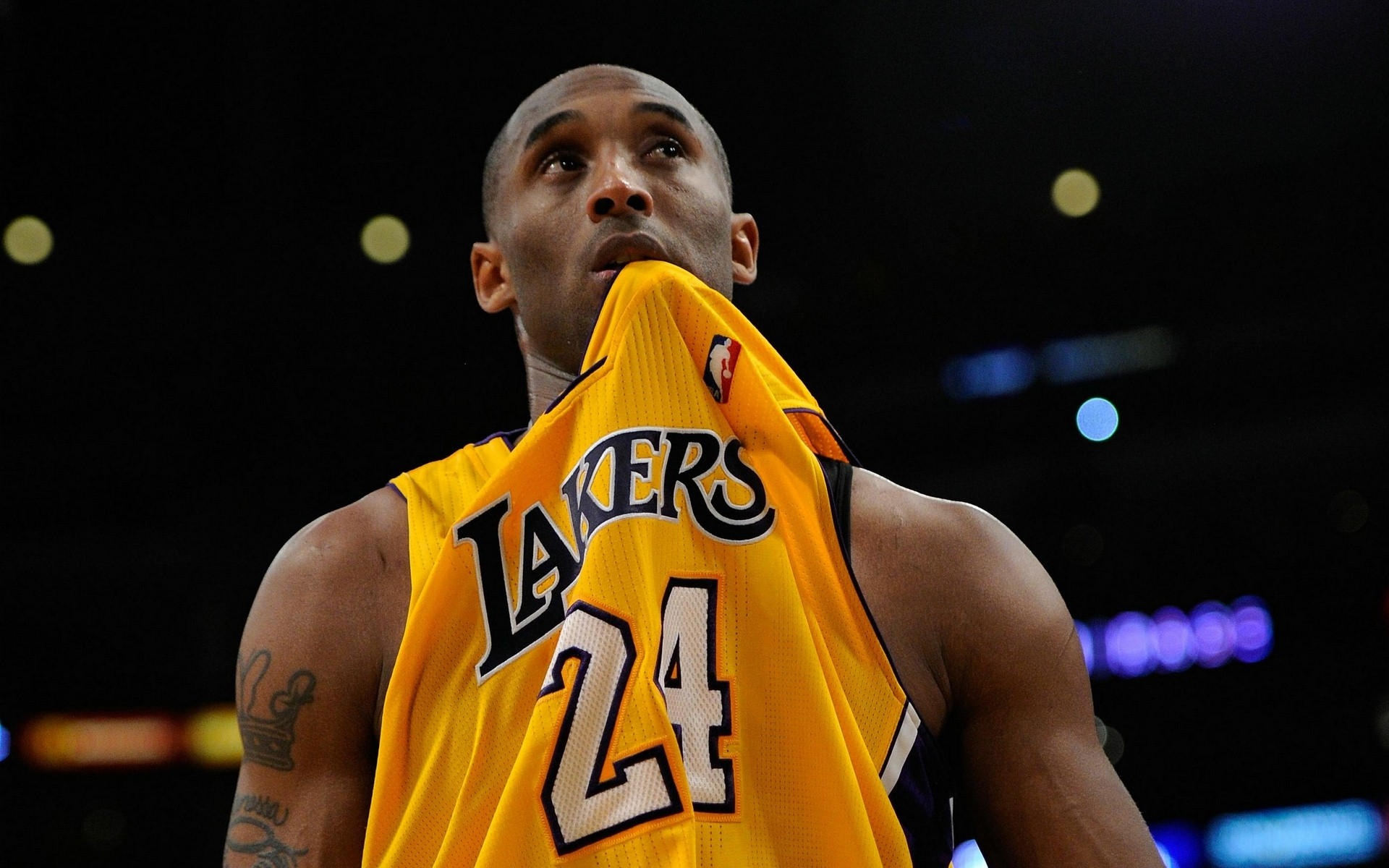 大卫与冲传 大卫与冲传